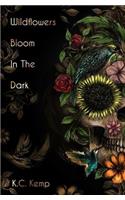 Wildflowers Bloom In The Dark