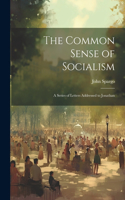 Common Sense of Socialism