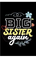 Big Sister Again