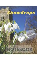 Snowdrops Notebook