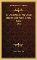 Cranial Muscles And Cranial And First Spinal Nerves In Amia Calva (1897)