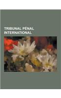 Tribunal Penal International: Cour Penale Internationale, Tribunal Penal International Pour Le Rwanda, Chambres Extraordinaires Au Sein Des Tribunau