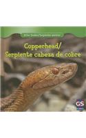 Copperhead/Serpiente Cabeza de Cobre