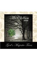 God's Majestic Trees