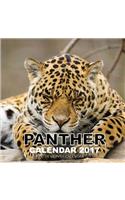 Panther Calendar 2017