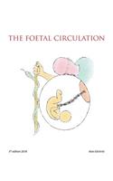 Foetal Circulation