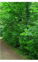 Walking Down the Forest Path Notebook