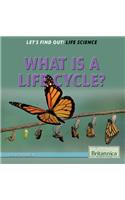 What Is a Life Cycle?: (2 Let's Find Out! Life Science)
