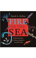 Fire in the Sea