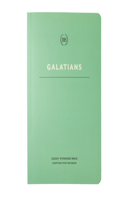 Lsb Scripture Study Notebook: Galatians