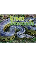 Green Anaconda