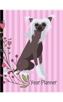 5 Year Planner: 2020 - 2024 Monthly Planner Organizer Undated Calendar And ToDo List Tracker Notebook Chinese Crested Dog Pink Cover