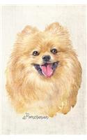 Pomeranian Dog Portrait Notebook