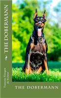 dobermann