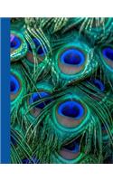 Peacock Feather Blank Writing Notebook