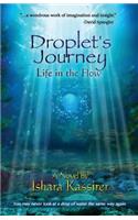 Droplet's Journey