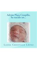 Adrián Plaza Crespillo