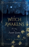 Witch Awakens