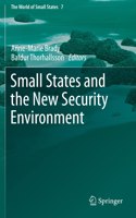 Small States and the New Security Environment