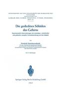 Die Gedeckten Schäden Des Gehirns