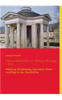 Gesundbrunnen im Schaumburger Land: Rehburg, Rodenberg, Nenndorf, Eilsen. Ausflüge in die Geschichte