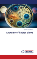 Anatomy of higher plants