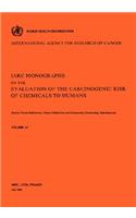 Vol 31 IARC Monographs