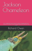 Jackson Chameleon