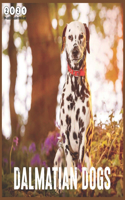 Dalmatian Dogs: 2021 Wall & Office Calendar, 12 Month Calendar