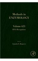 RNA Recognition