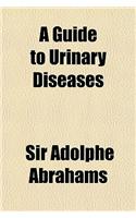 A Guide to Urinary Diseases: (English)