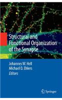 Structural and Functional Organization of the Synapse