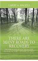 There Are Many Roads to Recovery
