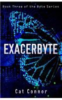 Exacerbyte