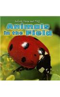 Animals in the Field