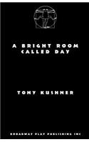 Bright Room Called Day