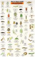Mac's Field Guides: Northwest Garden Bugs