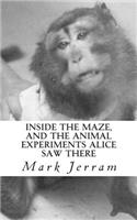 Inside The Maze