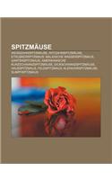 Spitzmause: Weisszahnspitzmause, Rotzahnspitzmause, Etruskerspitzmaus, Malaiische Wasserspitzmaus, Gartenspitzmaus