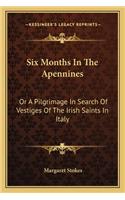 Six Months In The Apennines: Or A Pilgrimage In Search Of Vestiges Of The Irish Saints In Italy(English)