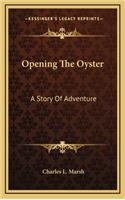 Opening The Oyster