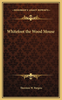 Whitefoot the Wood Mouse