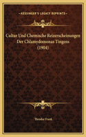 Cultur Und Chemische Reizerscheinungen Der Chlamydomonas Tingens (1904)