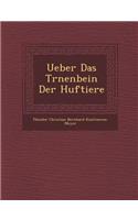 Ueber Das Tr Nenbein Der Huftiere
