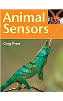 Rigby Literacy: Student Reader Bookroom Package Grade 2 (Level 16) Animal Sensors