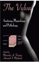 The Vulva