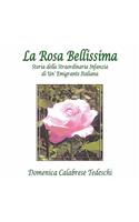 Rosa Bellissima