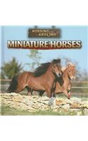 Miniature Horses