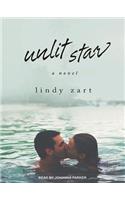 Unlit Star
