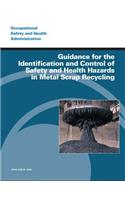 Guidance for the Identification and Control of Safety and Health Hazards in Metal Scrap Recycling